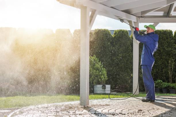 Best Roof Washing  in Cincinnati, OH